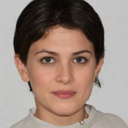 Trần Văn An avatar