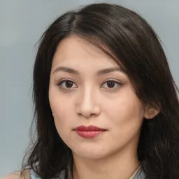 Nguyễn Văn Hùng avatar